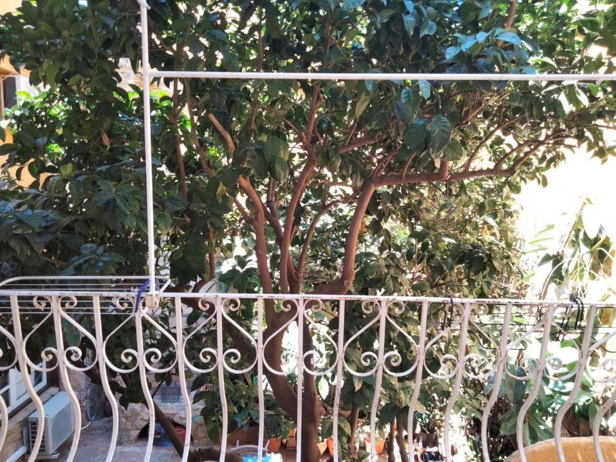 Estudio Castillo Dénia Extérieur photo